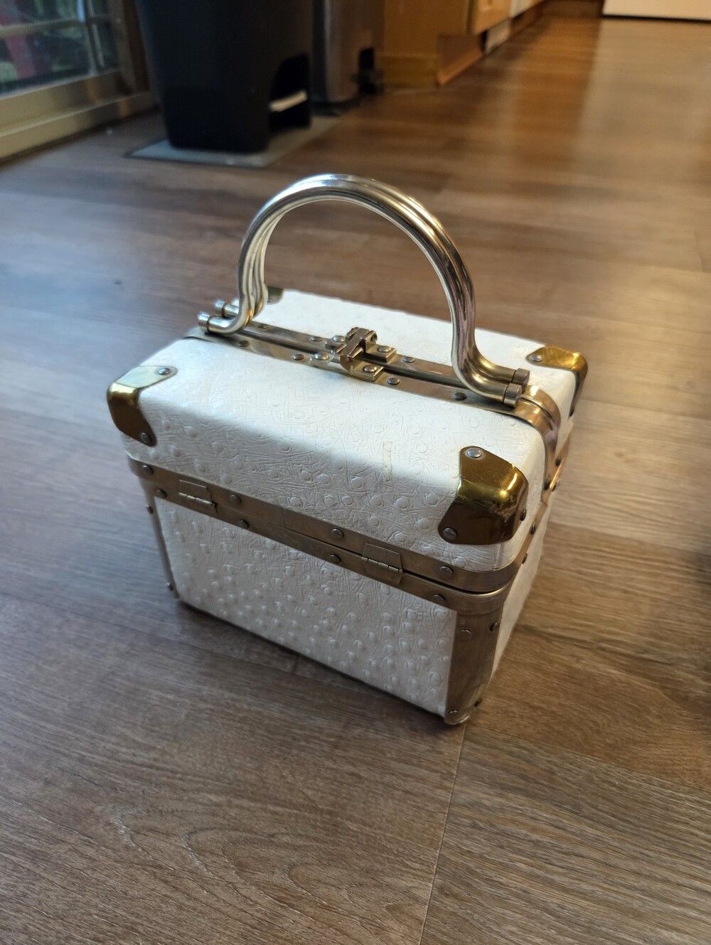 Vintage Trunk Box Hard Case Purse Ivory Ostrich Leather Brass Metal Hardware